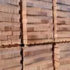 batu merah / common clay brick