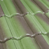 Monier Elabana Tropical Roof Tile Avocado Green
